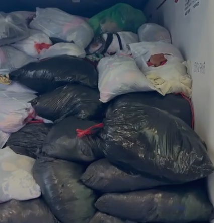 captura de pantalla 2025 08 06 160821 captura de pantalla 2025 08 06 160821